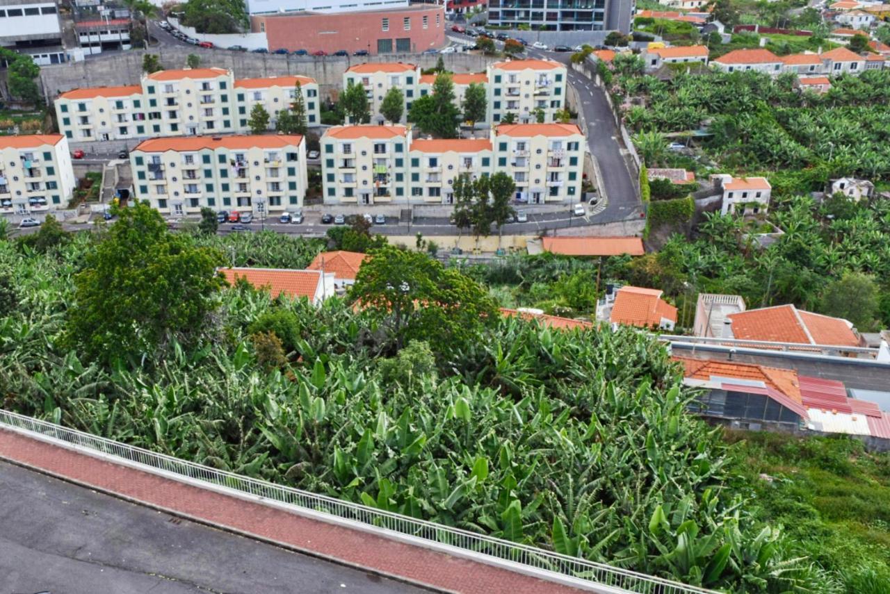 Design Gardens, A Home In Madeira Funchal  Exterior photo